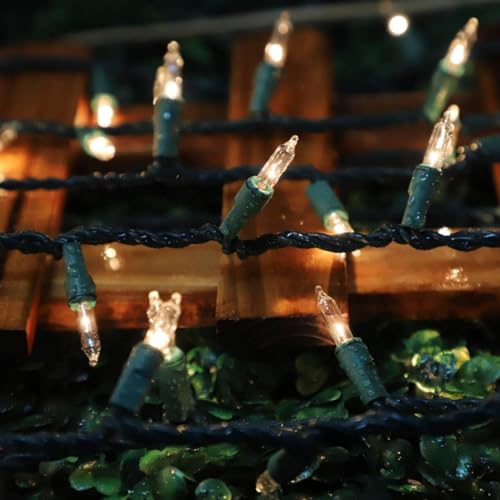 100 Count Clear Christmas Lights - 20 ft Ultra Bright White String Lights with Green Wire for Indoor and Outdoor Use, Christmas Trees, Holidays Party Patio Wedding and Garden - color: Clear