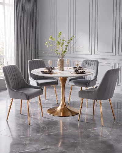 Velvet Dining Chairs Set of 4, Velvet Chairs, Kitchen Chair, Dining Room Chair, Dinning Chairs, with Golden Metal Legs, Mid-Century Modern Upholstered, for Living Room, Dining Room, Vanity Room, Gray - color: Grey, size: Set of 4