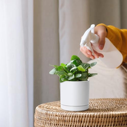 D'vine Dev 2-Pack Ceramic Pots with Saucers, White, 3.5 in, 94-V-A-1 | Modern Cylinder Design, Glazed Ceramic, Drainage Hole & Saucer Included, High Temperature Fired, Elegant Home Accent - color: White, size: 3.5 Inch