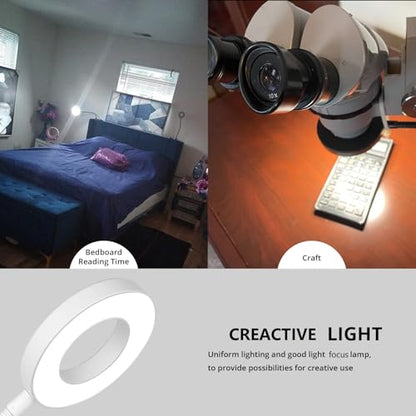 Woputne Desk Lamp Clip on Desk Reading Lights for Books in Bed (White) | With 5V 2A Adapter, 10 Dimmable Brightness 3 Modes, Clip on Light for Reading Home Office,Bed Headboard, Craft - size: White-1 Piece-Standard-With Adapter