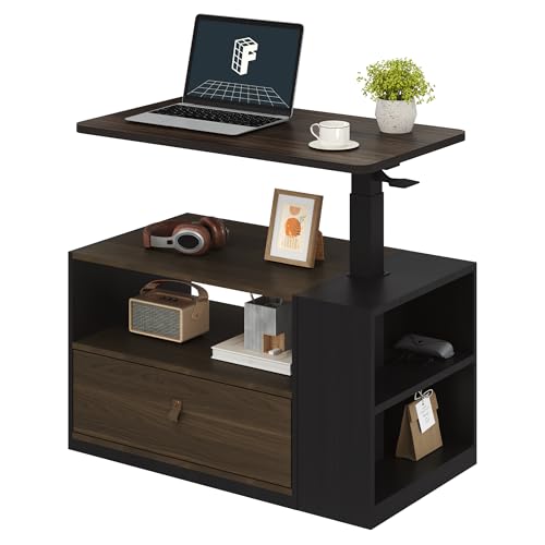 FLEXISPOT H7 CAB 28" Storage Sit-Stand Desk with Pneumatic Lift | Computer workstation desk with drawer and cabinet storage. Compact desk for small spaces and home office.25.8"–41.3",Walnut - color: Walnut+walnut