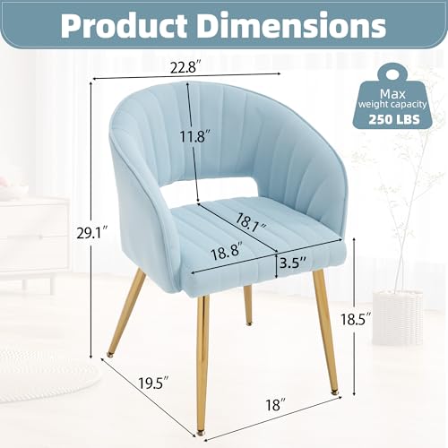 Velvet Home Office Desk Vanity Chair, No Wheels, Gold Legs, Light Blue | Modern Accent Chair with Stylish Stripe Design, Spacious‌ Soft Seat for Girls & Women Bedroom Makeup or Nail Table - color: Blue Velvet, No Wheels