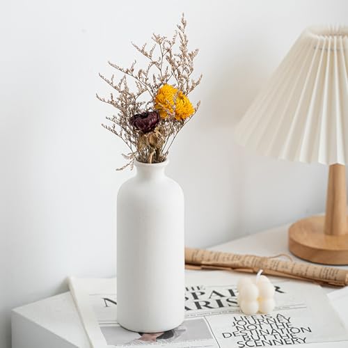 Ceramic Vase Set of 3,Modern Nordic,Minimalist Decorative Vase for Living Room Table Centerpiece Coffee Dining Wedding Bookshelf Home Decoration