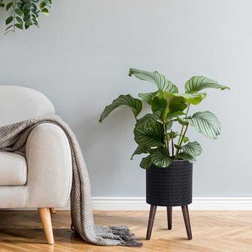 D'vine Dev Planter Pot with Wood Stand, 10 in, Distressed Black, 88-Z-B-5 | Mid-Century Modern Style, Elevated Plant Display, Drainage Hole and Plug, Functional & Stylish, Modern Indoor Planter - color: Distressed Black, size: Medium