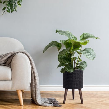 D'vine Dev Planter Pot with Wood Stand, 10 in, Distressed Black, 88-Z-B-5 | Mid-Century Modern Style, Elevated Plant Display, Drainage Hole and Plug, Functional & Stylish, Modern Indoor Planter - color: Distressed Black, size: Medium