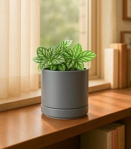 D'vine Dev 2-Pack Ceramic Pots with Saucers, Grey, 4.7 in, 94-V-B-3 | Modern Cylinder Design, Glazed Ceramic, Drainage Hole & Saucer Included, High Temperature Fired, Elegant Home Accent - color: Gray, size: 4.7 Inch