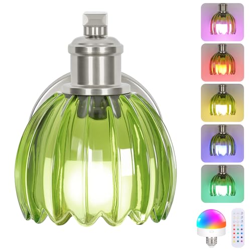 VerRon Rechargeable Battery Operated Wall Sconce with Green Glass Lampshade, Wireless Wall Scone Decor with Remote Control, 15 Colors Brushed Nickle Wall Light for Bedside Hallway Bedroom Doorway - color: Green & Brushed Nickle, size: 1-Pack