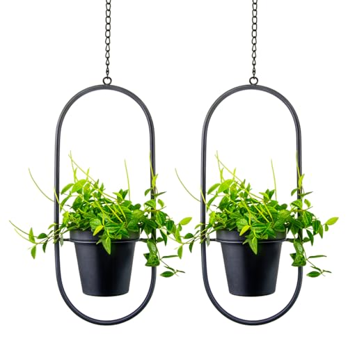 Modern Metal Hanging Planters with 5 Inch Pots - Set of 2 Oval Geometric Plant Hangers - Black Wall and Ceiling Mount Flower Holders for Indoor and Covered Outdoor Houseplants - size: OVAL-5 INCH POT
