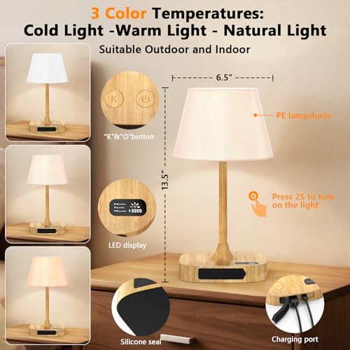 Table Lamp - Cordless Waterproof Shower Lamp and Dimmable Touch Lamp - color: Wood Grain
