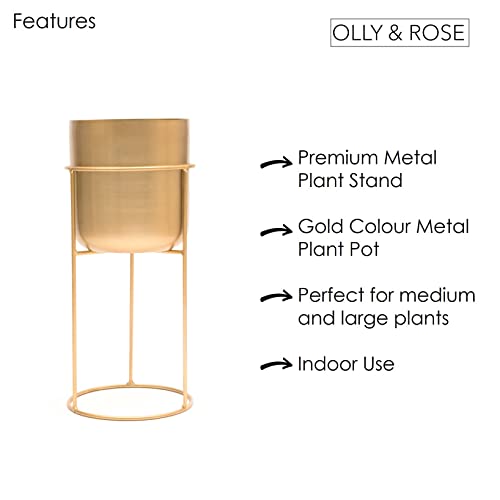 Olly & Rose Matt Metal Plant Pot with Gold Plant Stand - Tall 20 Inch Height Large Plant Pot Indoors with Stand - Large Decorative Planter