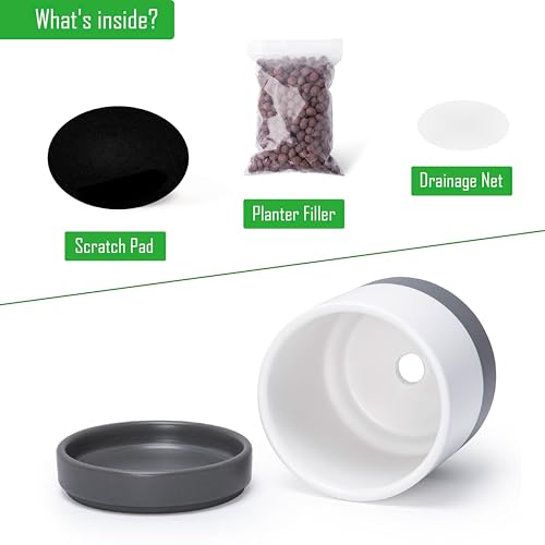 D'vine Dev 2-Pack Ceramic Pots with Saucers, White/Grey, 4.7 in, 94-V-B-6 | Modern Cylinder Design, Glazed Ceramic, Drainage Hole & Saucer Included, High Temperature Fired, Elegant Home Accent - color: White/Speckled Grey, size: 4.7 Inch