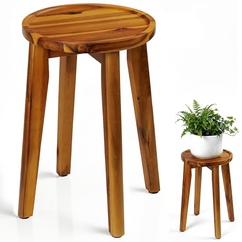 Demigo 15 in Tall Plant Stand, Acacia Plant Shelf for Indoor & Outdoor Use | Wooden Flower Holder with Spill-Proof Tray for Heavy Pots, Living Room, Patio & Garden Decor, Pot Pedestal - color: Natural Acacia, size: Tall