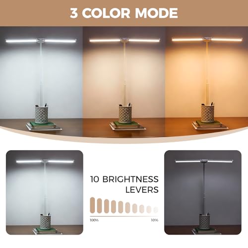 LED Desk Lamp for Home Office, Double Head Desk Light with Clamp | 3 Modes 10 Brightness, Long Flexible Goose-Neck, Eye-Caring, Memory Function, Energy Efficient, USB Adapter, Metal, White - color: White Pro