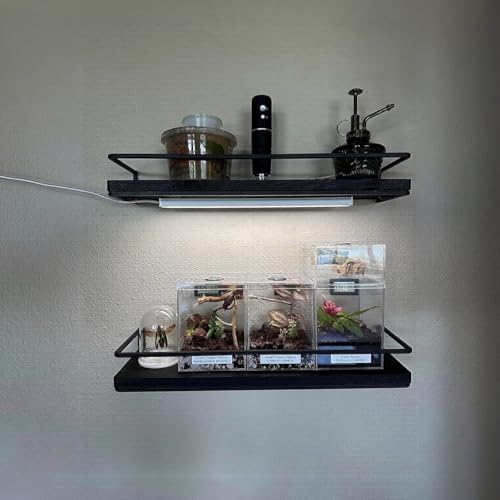 ASOKO 12 Inch Under Counter LED Lights Dimmable 5000K Plug in Light | ASOKO 12" Under Cabinet LED Light Strip, Dimmable 5000K Plug in Counter Light for Kitchen Desk Shelf - color: Daylight White, size: 12Inch-Standard