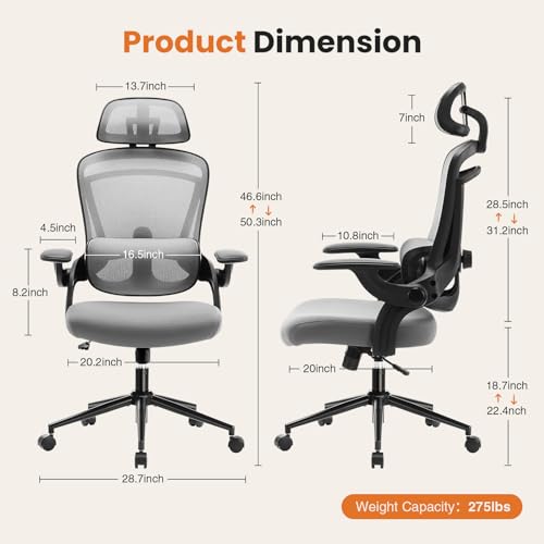 DUMOS Executive Home Office Chair, Ergonomic Computer Desk Chair, Mesh | 300 LBS, High Back, 2D Headrest, Adjustable Lumbar Support, Flip-up Armrests, Swivel Wheels, Classic Gray - color: Classic Gray