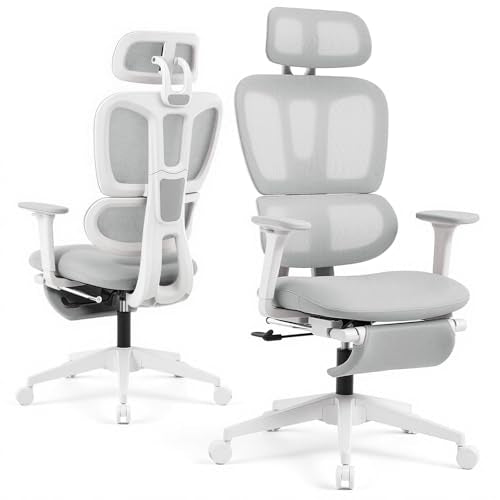 Ergonomic Office Chair with Footrest and Dynamic Lumbar Support, Grey | Reclining high-back computer chair, memory foam seat, 2D armrests, 2D headrest, mesh desk chair for home office, long hours - color: Light Grey