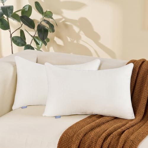Leeden 12 x 20 Lumbar Pillow Inserts Set of 2 for Sofa Couch Support | Soft polyester fill with durable piping, perfect for sofa, bed and chair pillow covers with lasting comfort and support. - size: 12x20 Inch (Pack of 2)