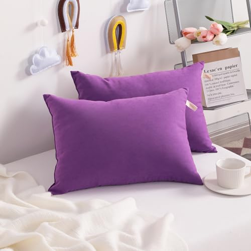 NTBAY Toddler Pillows, Down Alternative 13"x18" Pillows, Machine Washable - Soft and Breathable Travel Small Pillows for Sleeping, Ideal for Daycare, Crib, Cot, Purple | Soft Microfiber Toddler Pillows with Down-Alternative Fill, 2 Pack 13 x 18 Inch Pillo