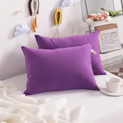 NTBAY Toddler Pillows, Down Alternative 13"x18" Pillows, Machine Washable - Soft and Breathable Travel Small Pillows for Sleeping, Ideal for Daycare, Crib, Cot, Purple | Soft Microfiber Toddler Pillows with Down-Alternative Fill, 2 Pack 13 x 18 Inch Pillo