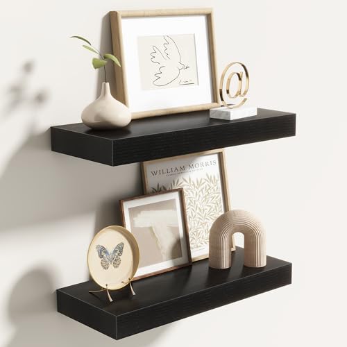 Acovy 16 Inch Floating Shelves for Wall 2 Pack, 16" Wall Shelves for Books, Storage, Decor, Wall Mounted Floating Shelf with Invisible Brackets for Kitchen, Living Room, Black - color: Black, size: 6.5"Wx16"L-2pcs