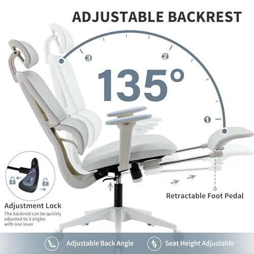 Ergonomic Office Chair with Footrest, 90-135° Reclining High Back Desk Chair with Lumbar Support, 2D Headrest, 2D Armrests, Computer Chair for Long Hours, Light Grey - color: Light Grey