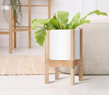 D'vine Dev Plastic Pot with Natural Wood Stand, White, 8 in, 55-C-J-1 | Mid-Century Inspired Design, Elevated Plant Display, Clean Lines, Sturdy Support, Modern Space-Saving Style - color: Matte White Pot + Natural Stand, size: 8 Inch