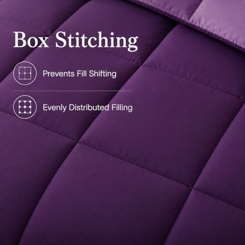 EVOLIVE Microfiber ReversibleComforter Full/Queen (Purple/Lavender) | Soft brushed microfiber with down-alternative fill offers medium-weight warmth, box stitching, and easy machine care - color: Purple/Dusty Lavender, size: Full/Queen