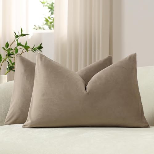 Lumbar Pillow Covers 12x20 Taupe: Pack of 2 Cozy Soft Velvet Rectangular Modern Luxury Decorative Throw Pillow Cases for Sofa Couch Living Room Bed Home Decor - color: Cobblestone, size: 20" x 12" (Pack of 2)