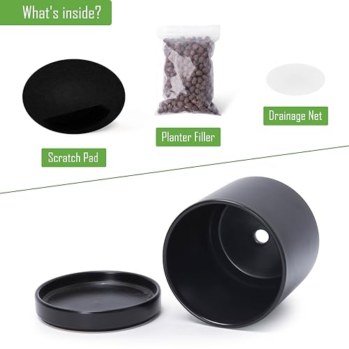 D'vine Dev 2-Pack Ceramic Pots with Saucers, Black, 6.5 in, 94-V-C-2 | Modern Cylinder Design, Glazed Ceramic, Drainage Hole & Saucer Included, High Temperature Fired, Elegant Home Accent - color: Black, size: 6 Inch