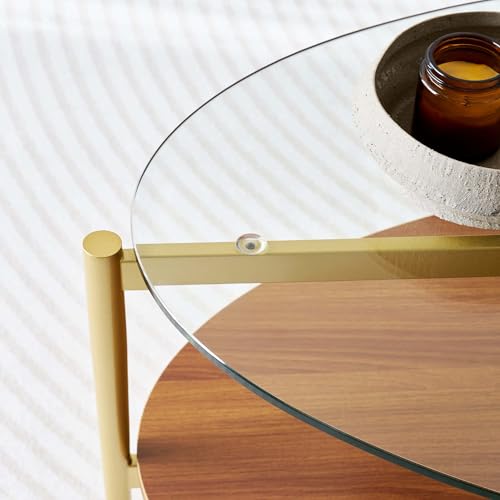 LumFurn Oval Glass Coffee Table, Surfboard Shaped Mid-Century Modern for Living Room, L43xW22xH17inch, Clear Glass and Walnut Finish Wood, Gold Finish Frame - color: Oval L43" Clear & Walnut