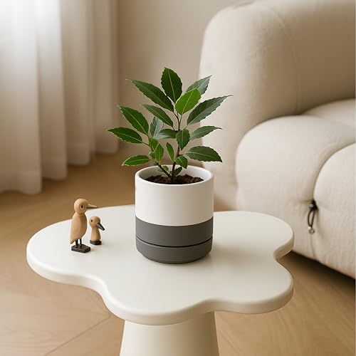 D'vine Dev 2-Pack Ceramic Pots with Saucers, White/Grey, 4.7 in, 94-V-B-6 | Modern Cylinder Design, Glazed Ceramic, Drainage Hole & Saucer Included, High Temperature Fired, Elegant Home Accent - color: White/Speckled Grey, size: 4.7 Inch