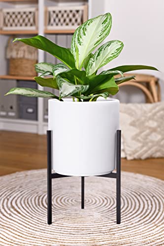D'vine Dev Cylinder Planter Pot with Metal Stand, White, 8 in, 96-T-A-1 | Durable Fiberclay Construction, Sleek Modern Design, Heavy-Duty Iron Stand, Drainage Hole & Saucer, Elegant Indoor Display - color: White, size: Small 8 Inch