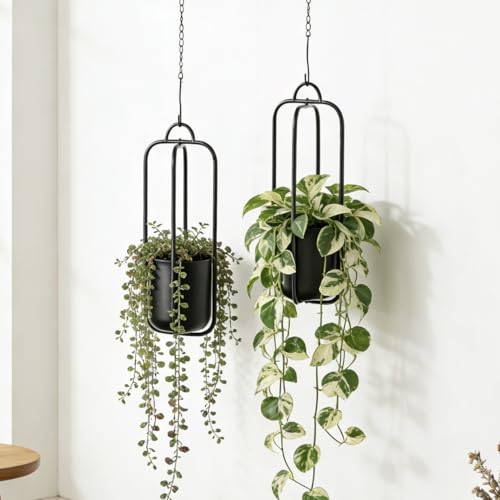Hanging Planters for Indoor Plants Black Modern Hanging Pots for Plants 5.5 Inch,Metal Hanging Baskets Window Plant Hanger Ceiling Hanging Flower Pots with Chain for Wall Decor