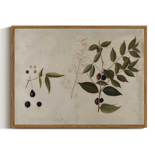 VIYYIEA Botanical Framed Wall Art, Plant Vintage Art Decor Room Aesthetic, 12x16 Inch Canvas Print Artwork, Watercolor Still Life Painting Wall Decor for Bedroom Bathroom Office - color: Ameixeira, size: 16"L x 12"W