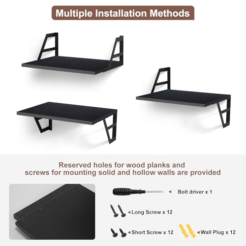 Tectocker-DOU 2 Pc Deep Floating Wall Shelves, Heavy Duty, 15.7×11.8, Black | Easy Install, All Hardware Included. Holds 40 Lbs. Easy-Clean. For Living Room, Kitchen, Bathroom, Bedroom, Office. - color: Black, size: 15.7W×11.8D