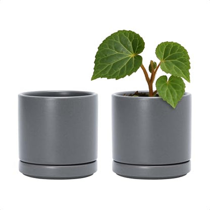 D'vine Dev 2-Pack Ceramic Pots with Saucers, Grey, 3.5 in, 94-V-A-3 | Modern Cylinder Design, Glazed Ceramic, Drainage Hole & Saucer Included, High Temperature Fired, Elegant Home Accent - color: Gray, size: 3.5 Inch