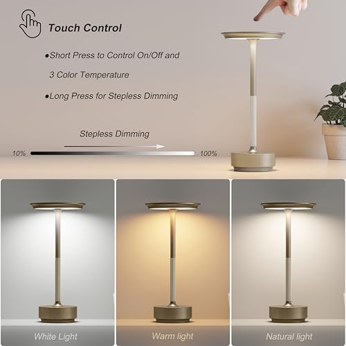 TBBGA 2 Pack Rechargeable Table Lamps Cordless, 5000mAh Outdoor Table Light | 3 Color Stepless Dimming Portable LED Table Lamp with Memory Function, for Home/Dinner/Patio/Restaurant.(Champagne Gold) - color: Champagne Gold-2
