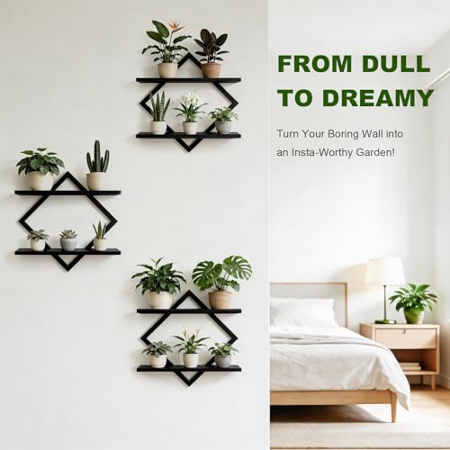 Set of 3 Wall Plant Holder, Black | Wall Planters for Indoor Plants, Window Plant Shelves, Floating Wall Shelves, For Plants, Books, Photos - color: Black-3pack