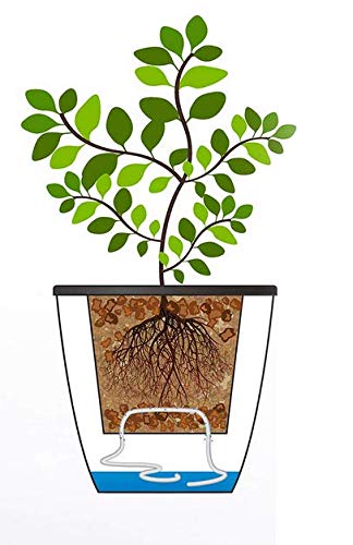 5 Pack Visible Water Level Self Watering Planter with Inner Pot,Hanging Planters,Wall Mounted Plants Holder,Small Flower pots Indoor Out Flowerpot with 5 Hooks for All House Plants (White) - size: 4.25 Inch
