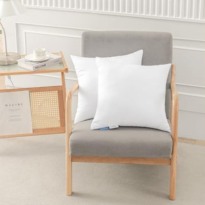 Leeden 20x20 Pillow Inserts, 20 Inch Decorative Throw Pillow Inserts, Soft Fluffy Square Throw Pillows for Couch, Sofa, Bed, and Home Decor White Cushion Pack of 2 - size: 20x20 Inch