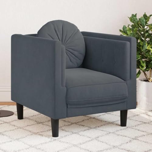 Dark Grey Velvet Sofa Chair with Padded Armrests, Modern Single Seating Plush Armchair, Solid Wood Frame, Removable Cushion Cover for Easy Cleaning - color: Dark Gray, size: 1 & Sofa