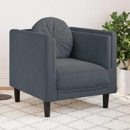 Dark Grey Velvet Sofa Chair with Padded Armrests, Modern Single Seating Plush Armchair, Solid Wood Frame, Removable Cushion Cover for Easy Cleaning - color: Dark Gray, size: 1 & Sofa