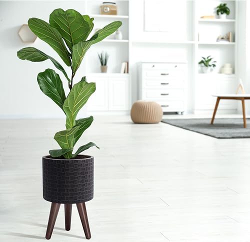 D'vine Dev Planter Pot with Wood Stand, 8 in, Distressed Black, 88-Z-A-5 | Mid-Century Modern Style, Elevated Plant Display, Drainage Hole and Plug, Functional & Stylish, Modern Indoor Planter - color: Distressed Black, size: Small
