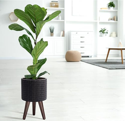 D'vine Dev Planter Pot with Wood Stand, 8 in, Distressed Black, 88-Z-A-5 | Mid-Century Modern Style, Elevated Plant Display, Drainage Hole and Plug, Functional & Stylish, Modern Indoor Planter - color: Distressed Black, size: Small