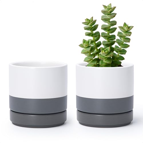D'vine Dev 2-Pack Ceramic Pots with Saucers, White/Grey, 4.7 in, 94-V-B-6 | Modern Cylinder Design, Glazed Ceramic, Drainage Hole & Saucer Included, High Temperature Fired, Elegant Home Accent - color: White/Speckled Grey, size: 4.7 Inch