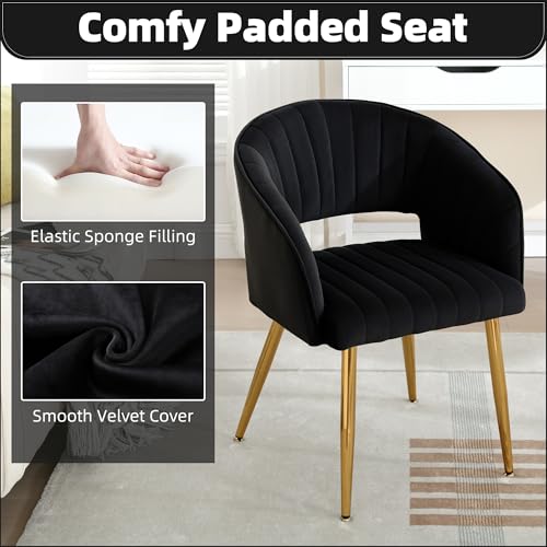Velvet Home Office Desk Vanity Chair, No Wheels, Gold Legs, Black | Modern Accent Chair with Stylish Stripe Design, Spacious‌ Soft Seat for Girls & Women Bedroom Makeup or Nail Table - color: Black Velvet, No Wheels
