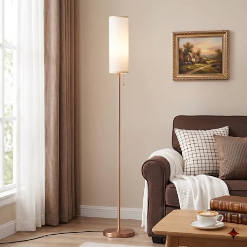 64" Floor Lamp with Bulb & Lampshade & Chain Switch, White & Brown | 3 Color Temperature,9W LED bulb,Minimalist Floor Lamp,Tall Pole Lamps,Living Room,Bedrooms,for Study,Office - color: white & brown, size: 64.56 inches 1PCS