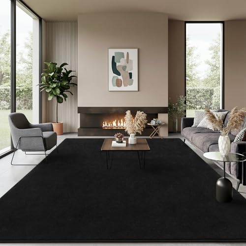 BENRON Soft Rugs for Living Room 5x7 Black, Minimalist Area Rug for Bedroom | Low Pile, Washabler Rugs for Nursery Dining Table Dorm Kids Room, Non Slip - color: Black, size: 5' x 7' (Rectangular)