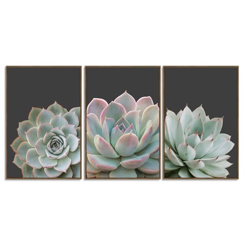 Zessonic Succulent Wall Art,Nature Plant Echeveria Wall Decor,16"x24"x3 | Nature Plant Echeveria Cactus Wall Decor,Tropical Nature Wilderness Botanical Canvas Prints for Bathroom Living Room Bedroom - color: Succulent, size: 16" x 24"x3