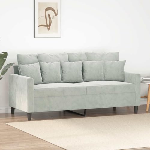 62.2 x 62.2 x 31.5 in Light Grey Velvet 2-Seat Sofa with Modern Frame, Removable Cushions, Compact Loveseat for Living Room or Small Spaces - color: Light Grey, size: 62.2 x 62.2 x 31.5 in. (W x L x H)